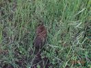 DSC03649