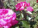 2014-05-27 13.54.44