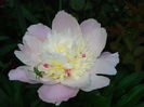 DSC00497