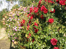 Photo2792