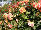 Photo2794