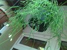 20140527_172515