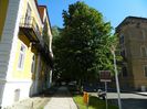 DSCN9563