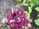 P1220102