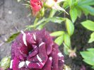 P1220103