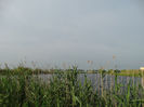 DSC00614