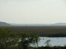 DSC00618
