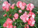 DSCN3628_032