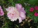 DSCN6166