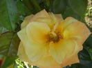 DSCN6149