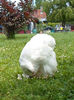 SAM_0716