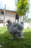 SAM_0724