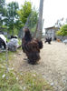 SAM_0752