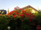 20140524_195451
