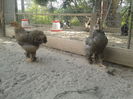 20140524_170101