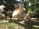 20140524_165551