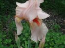DSCF0840
