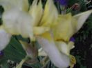 DSCF0846