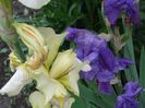 DSCF0847