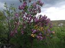 DSCF0728