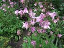 DSCF0798