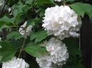 DSCF0810