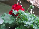 DSCF0826
