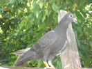 Picture 3065
