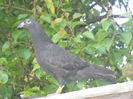 Picture 3069