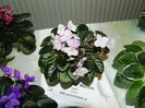 P1012593