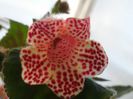 P9210019