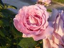 DSCF0527
