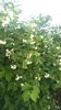 20140526_080420