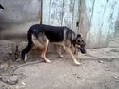 IMG_20130927_153646
