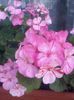 20140529_094723