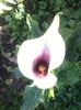 20140529_094826