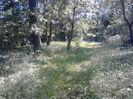 IMG_20140525_161645