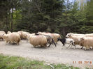 Turma din Bistrita