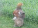20140529_172725