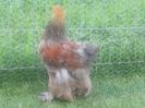 20140529_172734