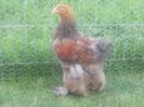 20140529_172735