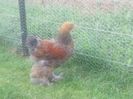 20140529_172907