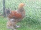 20140529_172917