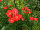 SAM_6552