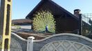 20140528_081024
