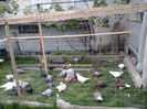 2014-05-25 19.33.29