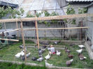 2014-05-25 19.33.39