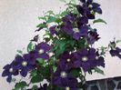 20140528_191941