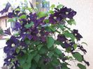 20140528_191949