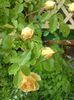 DSC00062